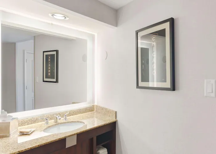 Hilton Chicago/oak Lawn 3*