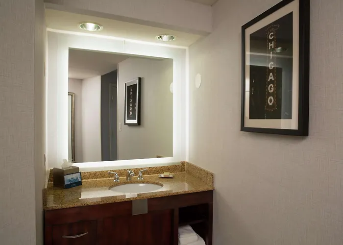 Hilton Chicago/oak Lawn Hotel Oak Lawn